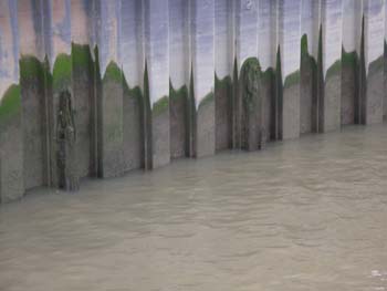 Deptford Creek Bridge