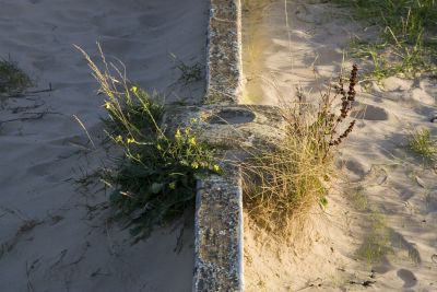 Dungeness, East Sussex