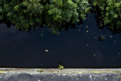 European Amazingness