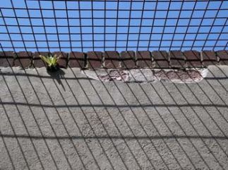 Park Road London SE25