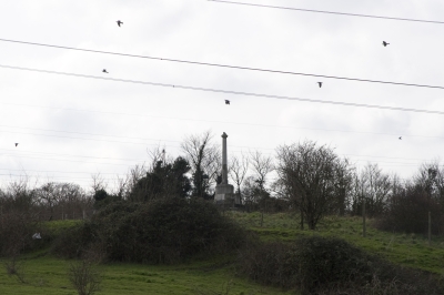 Kent Wildlife Trust - Stone