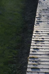 Kent Wildlife Trust - Stone