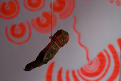 Shaun Caton - Netherwhat