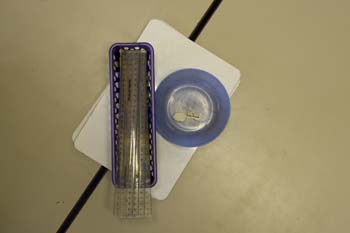 Tidemill School, London